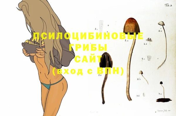 кристаллы Алексеевка