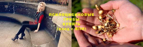 каннабис Алзамай