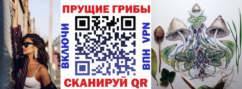 Псилоцибиновые грибы Psilocybine cubensis  Петушки 